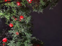 -大雁塔北广场音乐喷泉