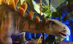 -恐龙探索乐园(磁器口店)