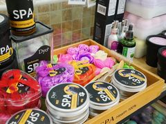 -汪小喵宠物·戴维斯乐芳希施宠馨宝皮毛调理洗护店