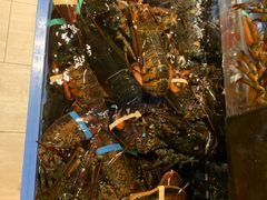 -RED LOBSTER(环球影城大阪店)