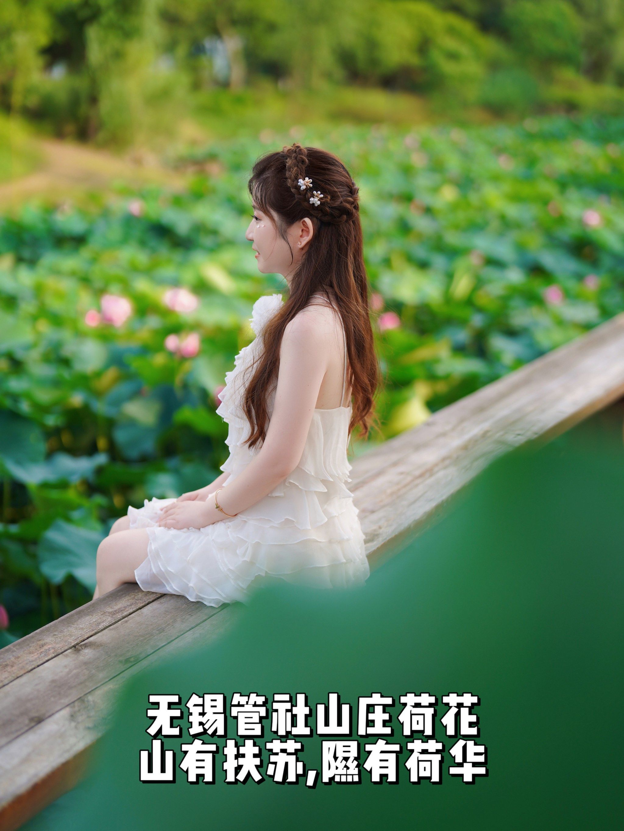 无锡管社山庄荷花|山有扶苏,隰有荷华