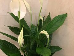 -锦什坊街叁拾伍号大厦