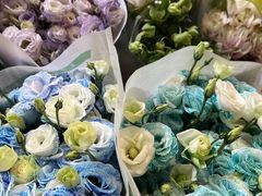 -双季花艺园艺市场(浦东店)