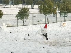 -南京理工大学紫金学院