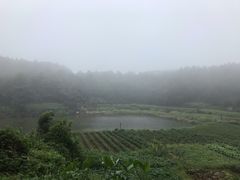 -乌石村