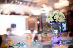 -M'S BANQUET AND SPACE ART