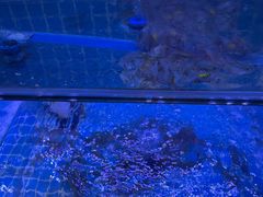 -面道赞宁海海鲜面(迎凤街店)