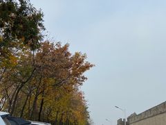 -中国人民抗日战争纪念雕塑园