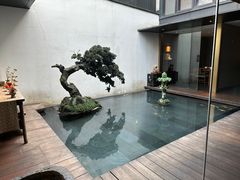 -觀芷隐轩