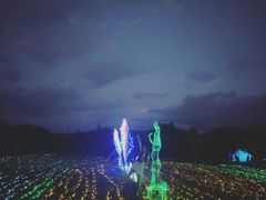 -亚龙湾国际玫瑰谷