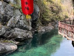 -石台牯牛降景区