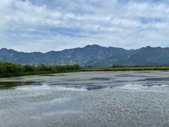-野鸭湖国家湿地公园