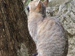 -终南山南五台景区