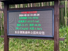 -黄海国家森林公园