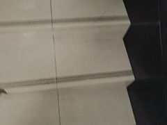 -汇乐游泳馆(莲花南路店)