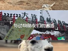 -大连森林动物园