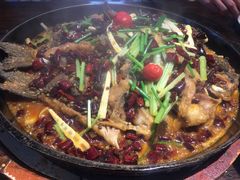 -老板恋上鱼(恒隆广场店)