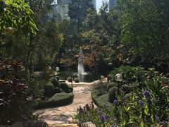 -九龙公园