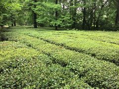 -宝岩生态观光园