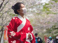 -高东镇樱花园