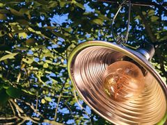 -毛辣果·酸(OHA复兴西路店)