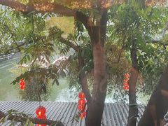 -侨美·唐荔园·40年地道粤菜