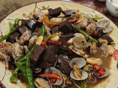 蛤蜊烧羊血-涛雒人家