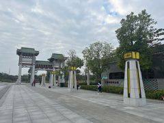 -王借岗森林公园