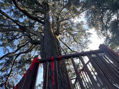 -终南山南五台景区