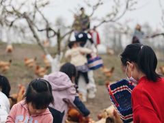 -乌村