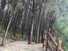 -龙洞风景区-藏龙涧
