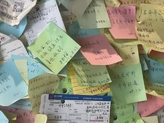 -古树酸奶(八廓南街店)