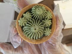 -B.U.Bread&Coffee(巧刻广场店)