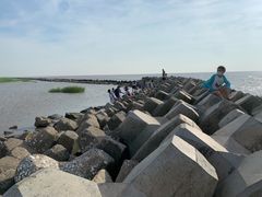 -南汇嘴观海公园