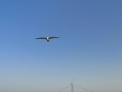 -星海广场
