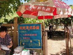-鱼子山桑葚生态采摘园