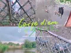 -长兴太湖图影湿地文化园