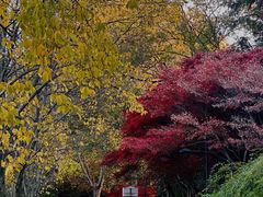 -雨花台烈士纪念馆