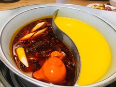 -青瓷火锅料理(西单大悦城店)
