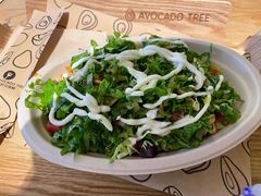 -油梨树AVOCADO TREE(嘉里中心店)