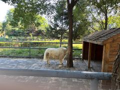 -长白岛森林公园