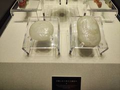 -柳州博物馆