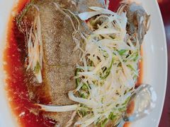 清蒸多宝鱼-徐记海鲜·宴会(大唐西市|丰庆店)