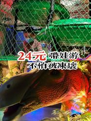 -恐龙探索乐园(磁器口店)