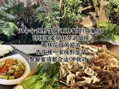 -西双版纳原始森林公园