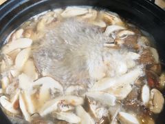 -蘑统田下·野生菌火锅