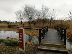 -梁鸿国家湿地公园