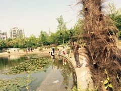 iphone_upload_pic-新江湾城公园