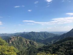 -大岭沟猕猴桃谷风景区