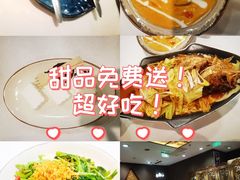 -荷花泰菜(东方新天地店)
